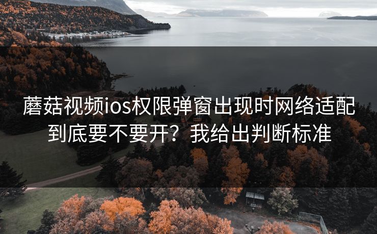 蘑菇视频ios权限弹窗出现时网络适配到底要不要开？我给出判断标准