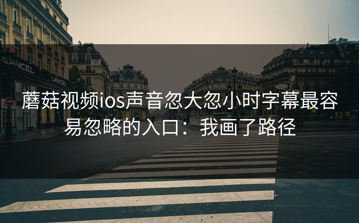 蘑菇视频ios声音忽大忽小时字幕最容易忽略的入口：我画了路径