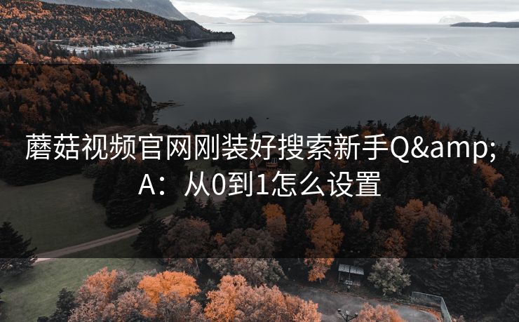 蘑菇视频官网刚装好搜索新手Q&A：从0到1怎么设置