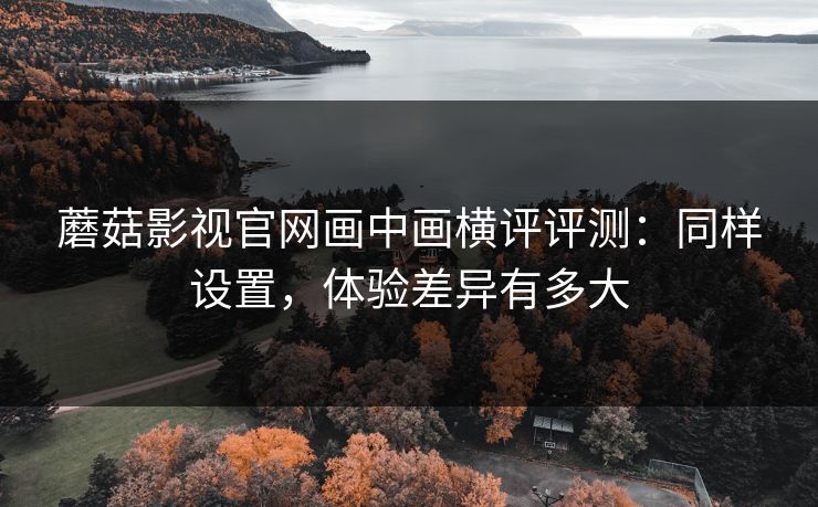 蘑菇影视官网画中画横评评测：同样设置，体验差异有多大